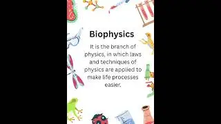 What is Biophysics? | Quick Bio Buddy