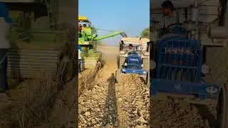 Hira combine status #harvester #harvestermachine #combineharvester #combine #trending #shorts