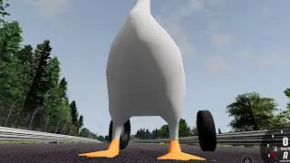 Deja Goose :D