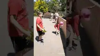 moncton zoo magnetic 2022
