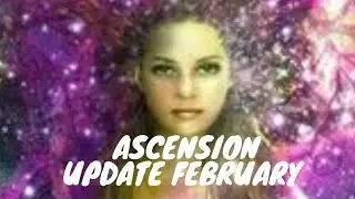 ASCENSION UPDATE FEBRUARY FOR COLLECTIVE 🙏🦋🌈🔥