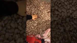 Puthetyc-Does anyone else have a bucket of beans feels good TikTok