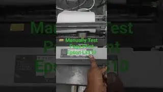 Manually Test page print Epson Lx310 Lq310
