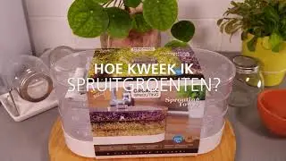 Spruitgroente kweken met de Buzzy Sprouting Tower