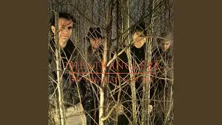 Yellowcake UF6