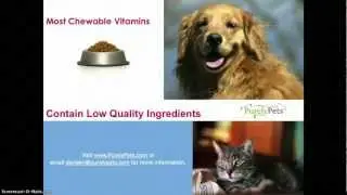 Dog and Cat Vitamin Your Pet Will Love