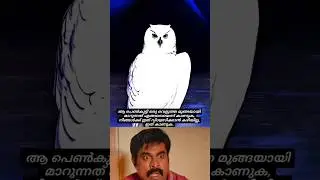 human to white owl 🦉✨#Transformation #MagicMoment #OwlPower  #YTShorts #GirlToOwl #MalayalamMeme