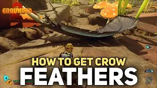 Grounded 2 - How To Get Crow Feathers