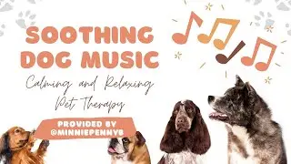 Calming & Relaxing Dog Music - Vol 1 😌🎵🐶 #dogmom #playlist #cutedog