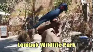 Lombok Wildlife Park