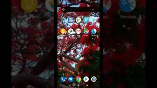pocophone f1 night mode no root needed