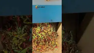 Small Wire Shredder #smallcableshredder #smallshredder #wireshredder #cableshredder