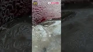 Why Do Fast Food Drinks Have So Much Ice? 🥤 The Cold Truth!