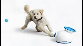 iFetch Interactive Ball Launchers for Dogs