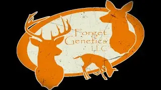 Q&A for Forget Genetics