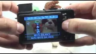 Panasonic DMC-LX3: Indoor/Party