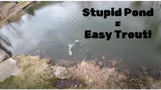 Fishing a stupid pond for stocked trout in Western, NY