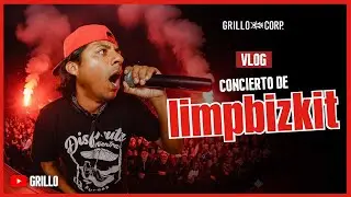 💥VLOG DEJAME EN PAZ: CONCIERTO de LIMPBIZKIT💥