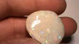 gem opal full shell flashfire-opals.MPG