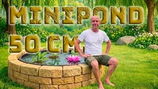Cosa piantare in un Minipond da 50 cm? Trasforma il tuo balcone! 🌸