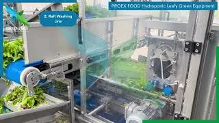 PROEX FOOD Hydroponic Lettuce / Leafy Green Solution Overview  | Fully Integrated, Custom Lines