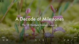 The story behind the UK Peatland Strategy