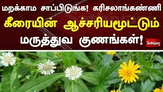மறக்காம சாப்பிடுங்க! கரிசலாங்கண்ணி கீரையின் ஆச்சரியமூட்டும் மருத்துவ குணங்கள்! | Sathiyamtv | Hair |