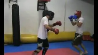 Team Twisted Fight Zoo