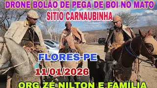 [DRONE] BOL&Atilde;O DE PEGA DE BOI NO MATO S&Iacute;TIO CARNAUBINHA FLORES PE ORG Z&Eacute; NILTON. 11/01/2026