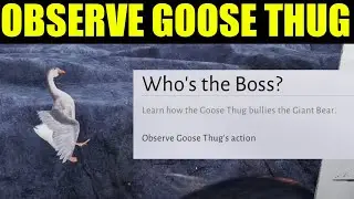 Where winds meet - how to observe goose thugs actions (unlock honking havoc) | who's the boss guide