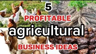 5 Profitable Farming Businesses That Print Money in 2025 (Start With Little Capital)#farming