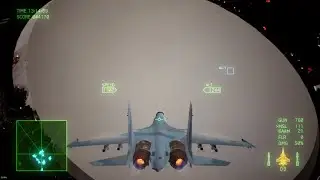 Ace Combat: Flying Through the Arsenal Bird
