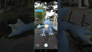 Pokemon Golduck Virtual AR #PokemonGo #Shorts #Indonesia #AR #shortpokemon #gameviral #shortsanime