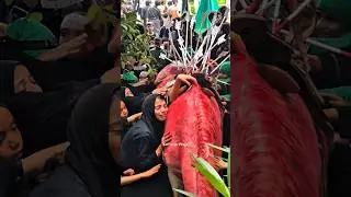 Zuljanah ki Wapsi 💔😭 #shorts #zuljanah #islamicstatus #ytshorts #viral #muharram