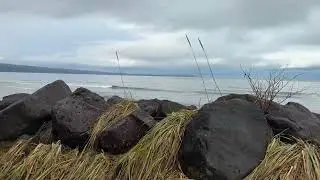 МОЯ СТАРАЯ ХИЖИНА НА ОСТРОВЕ МОРСБИ РЯДОМ САН-СПИТ