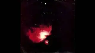 joy division ~ transmission ﾉ vocals only ﾉ