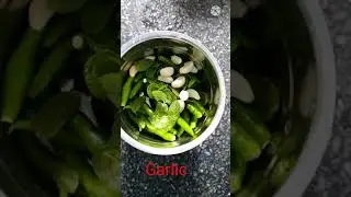 Green chilli chutney with mint | Hari Mirch or pudina ki chutney | easy recipe #Shorts
