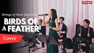 Wedding Band | Birds of the Feather by Billie Eillish | Cover by Strings of Heart Musicians
