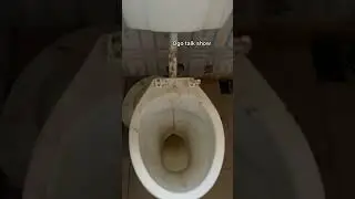 What manner of house is this ? I am disappointed ☹️