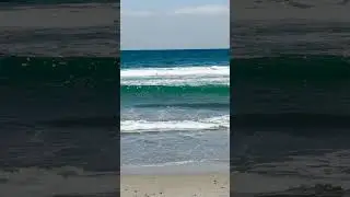 Surf's Up at Moonlight Beach! | California Dreamin&rsquo; in Encinitas