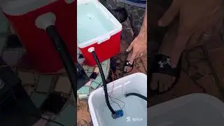 Jon boat Live Well 25 gallons #fishing #shorts #angler #reels #wildlife #boating #diy