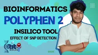 SNP Analysis Made Easy: PolyPhen-2 Step-by-Step Tutorial Guide