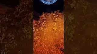 Prosperity Tree Show Wynn Part 4: Golden Tree  🌟🌳 #prosperitytree #goldentree #wynn #hongkong