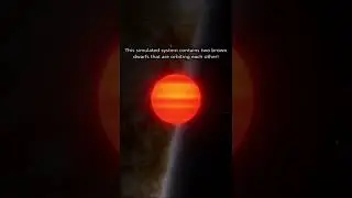A Brown Dwarf Binary System