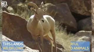 Explore Outdoors: Mother nature's power creates visual landscape