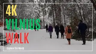 【4K】 Walking Tour in Lithuania - Vilnius Snowy Walk through the Vingis Park with Nature Sounds