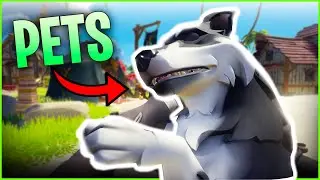 Как получить питомцев в Sea of ​​Thieves!