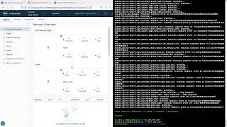Building a VMware SASE Lab with Terraform