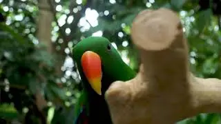 Avonturia DE GROOTSTE DIERENWINKEL VAN NEDERLAND