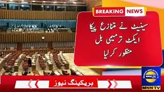 The Senate passed the controversial PICA Act amendment bill